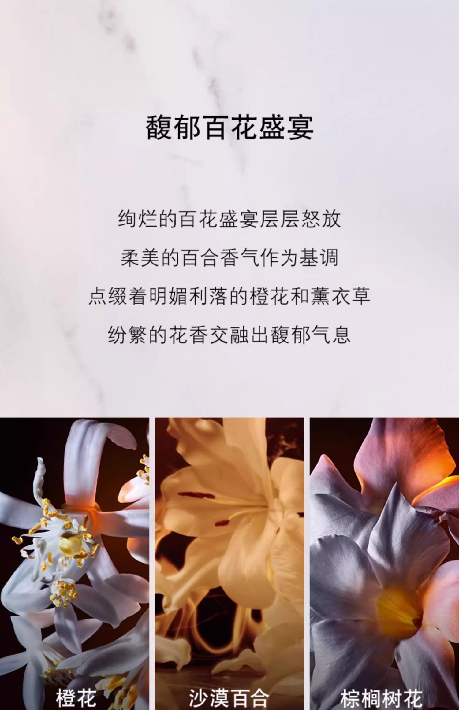 331ab2abc6de4eaf99c89fece8914898.jpg