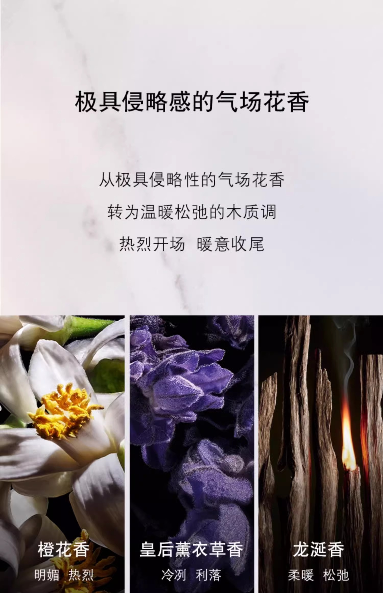 34ecd53c29712b01a2c9cd7fa61770c4.jpg