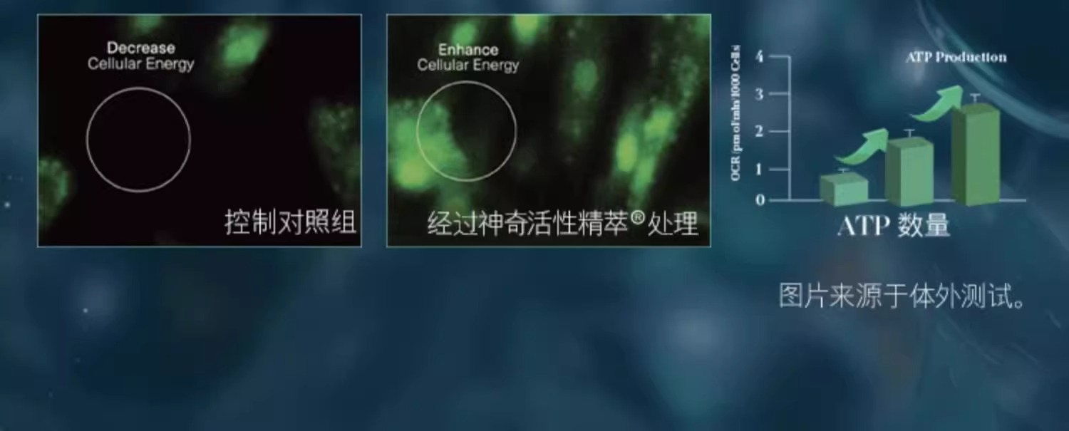 a4fac2e47ef94225e73792bfa48fb44d.jpg